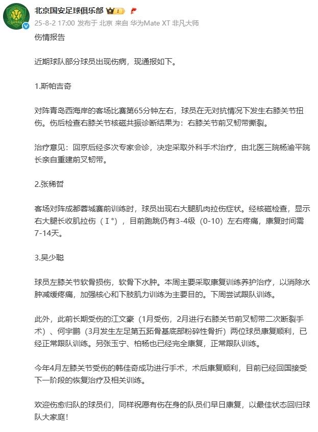 由于中超夏, 赛后磁共振, 斯帕吉奇是