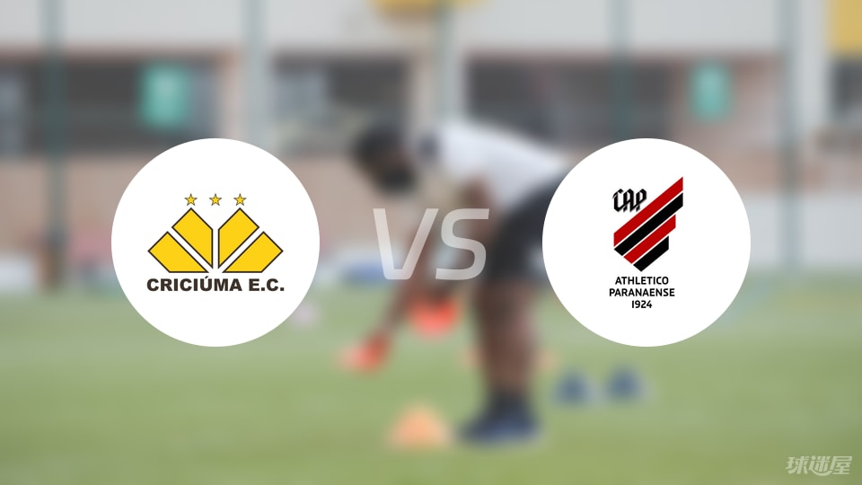 以上是球迷 以上是球迷